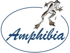 Amphibia Logo
